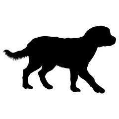 Labrador dog silhouette on a white background