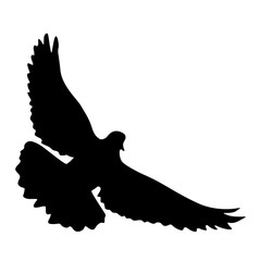 Concept of love or peace silhouettes doves