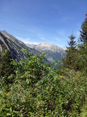 Wanderung im Zemmgrund