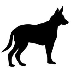Shepherd dog silhouette on a white background