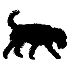 Airedale Terrier dog silhouette on a white background