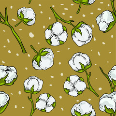 Seamless vector pattern with cotton flowers on brown background. Good for printing. Wallpaper and textile design.