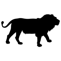 Silhouette of the Lion on a white background