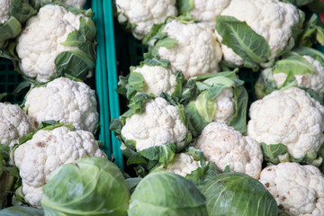 Cabbages in market Ponta Delgada Sao Miguel island Azores Portugal