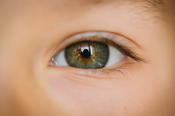 Fototapeta premium Green Eye with Gold 