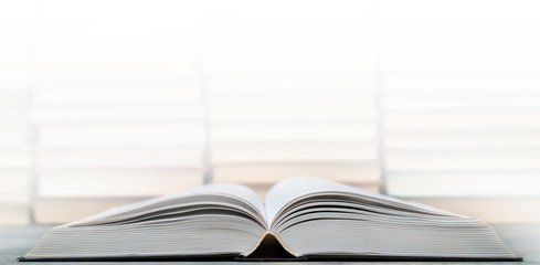 Pages of an open book. Symbol of knowledge, science, study, wisdom.