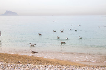 Albir beach on the Mediterranean coast of Spain Alfaz del  Pi