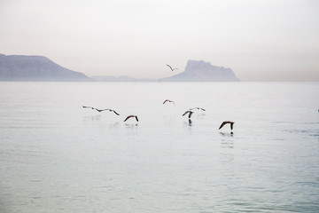 Albir beach on the Mediterranean coast of Spain Alfaz del  Pi