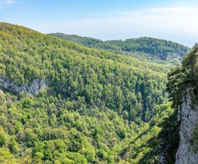 Mountain with a steep rocky slope and valley with thick green forest below.