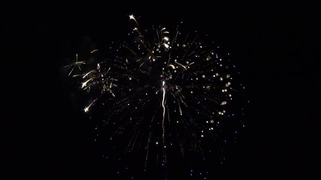 Beautiful colorful fireworks exploding in the night sky