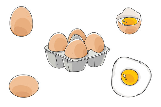 egg hand drawn cute art vector illustration