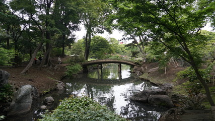 Fototapeta na wymiar 日本庭園の中の橋