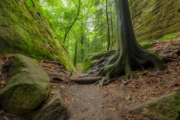Dismal's Canyon, Alabama