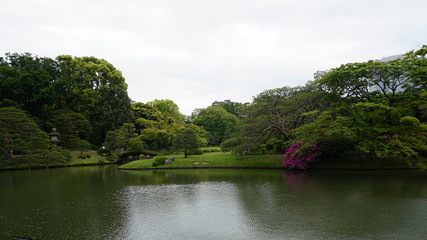 Fototapeta premium 日本庭園