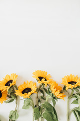 Obraz premium Sunflowers on white background. Flat lay, top view minimal floral composition.