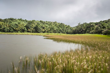 Fototapeta premium the Grand Etang Lake