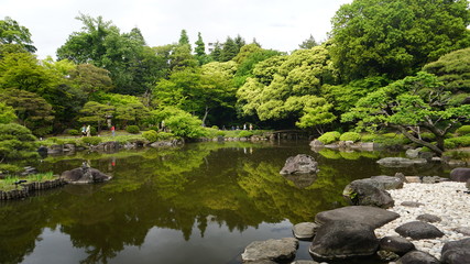 Fototapeta premium 日本庭園