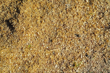 Wood sawdust background closeup. Sawdust texture, close-up background of brown sawdust.