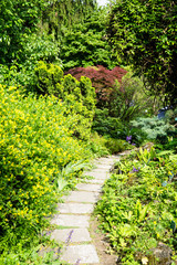 Beautiful botanical garden, natural green plants in spring 