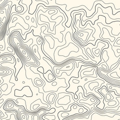 Topographic map lines background. Abstract vector illustration. Contour vector map.