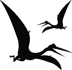 Two flying black Pteranodon Pterodactyl  vector silhouette illustration isolated on white background © Sweta