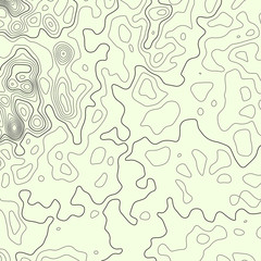 Topographic map lines background. Abstract vector illustration. Contour vector map.