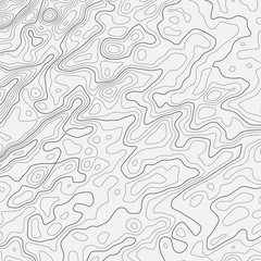 Fototapeta premium Topographic map lines background. Abstract vector illustration. Contour vector map.