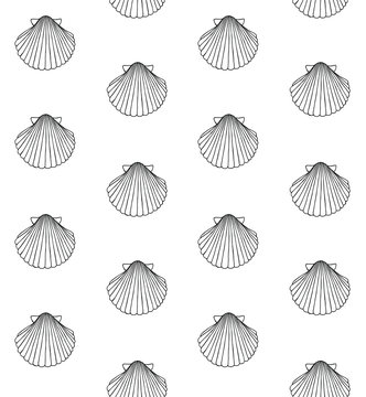 Vector seamless pattern of hand drawn doodle sketch shell isolated on white background 