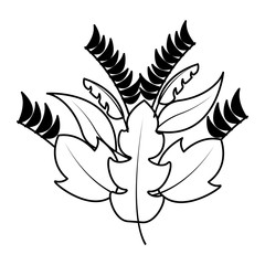 Obraz premium botanical leaf foliage arrangement