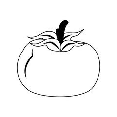 Tomato vegetable healthy food cartoon in black and white