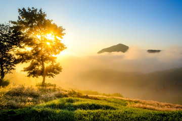 Obraz premium Mount Caldag Rising