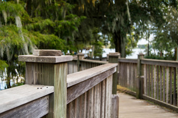 Wooden walkway at a park