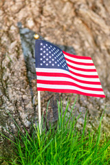 Flag of the United States. Green grass background. Celebration concept, Memorial Day, 4th of July , USA Independence Day.