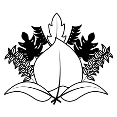 botanical leaf foliage arrangement