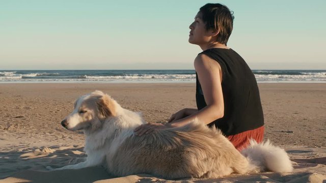 woman petting her dog on the beach at sunset
