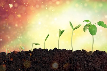 Growth of new life on  background