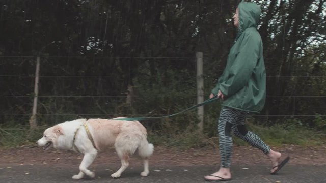 Woman walking her dog in the rain