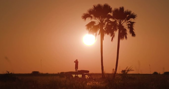 Tourist standing on 4x4 roof taking in the view of the beautiful sunset under the palm trees of the Okavango Delta