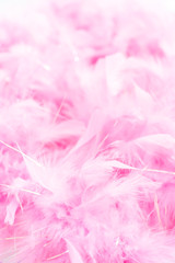 Pink feathers