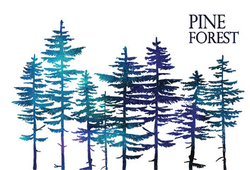 Pine forest. Vector freehand drawing . Sketch on a white background .