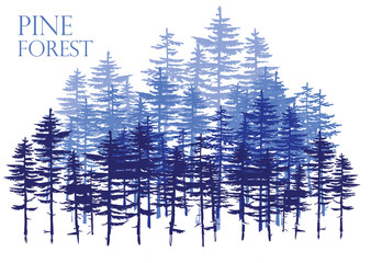 Pine forest. Vector freehand drawing . Sketch on a white background .