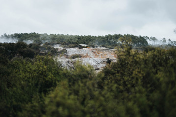 Fototapeta premium New Zealand Rotorua