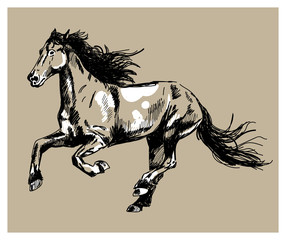 Running horse. Vector freehand drawing , engraving . - 270499718