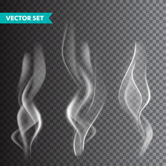 Realistic cigarette smoke set isolated on transparent background. Vector vapor in air, steam flow. Fog, mist effect.