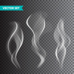 Realistic cigarette smoke set isolated on transparent background. Vector vapor in air, steam flow. Fog, mist effect.