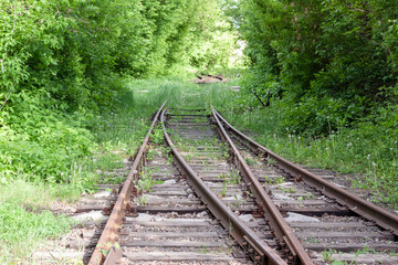 abandoned rail tracks with plants and green trees around. abandoned concept.