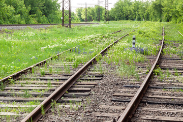 Obraz premium abandoned rail tracks with plants and green trees around. abandoned concept.