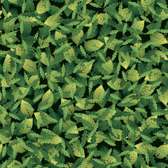 Seamless pattern with leaves of different shapes of different sizes and different shades of green on a dark green background