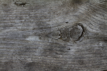 old wood background