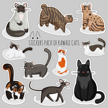 Vector Set of Funny Stickers of Cat Breeds in Kawaii Style. Cute Cartoon Kitty Character. Sticker of Kawaii Animal, Pet. Flat Design Concept for Print, Logo, Icon, Badge, Label, Patch